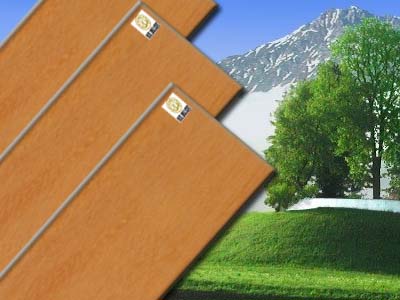 ��̴��Ԕ����B