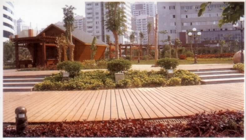 �B�T�����ݹ��@