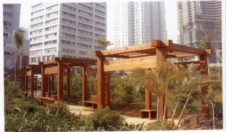 �B�T�����ݹ��@